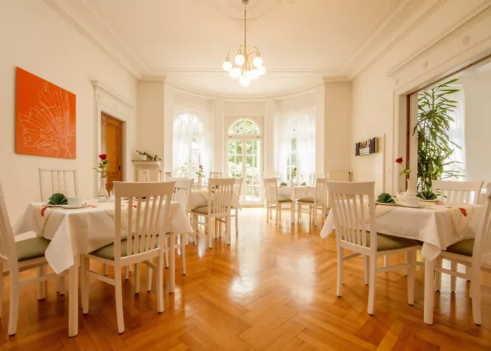 Freisleben Drážďany